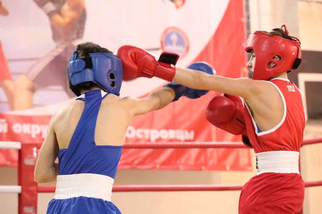 box ostrovci 8