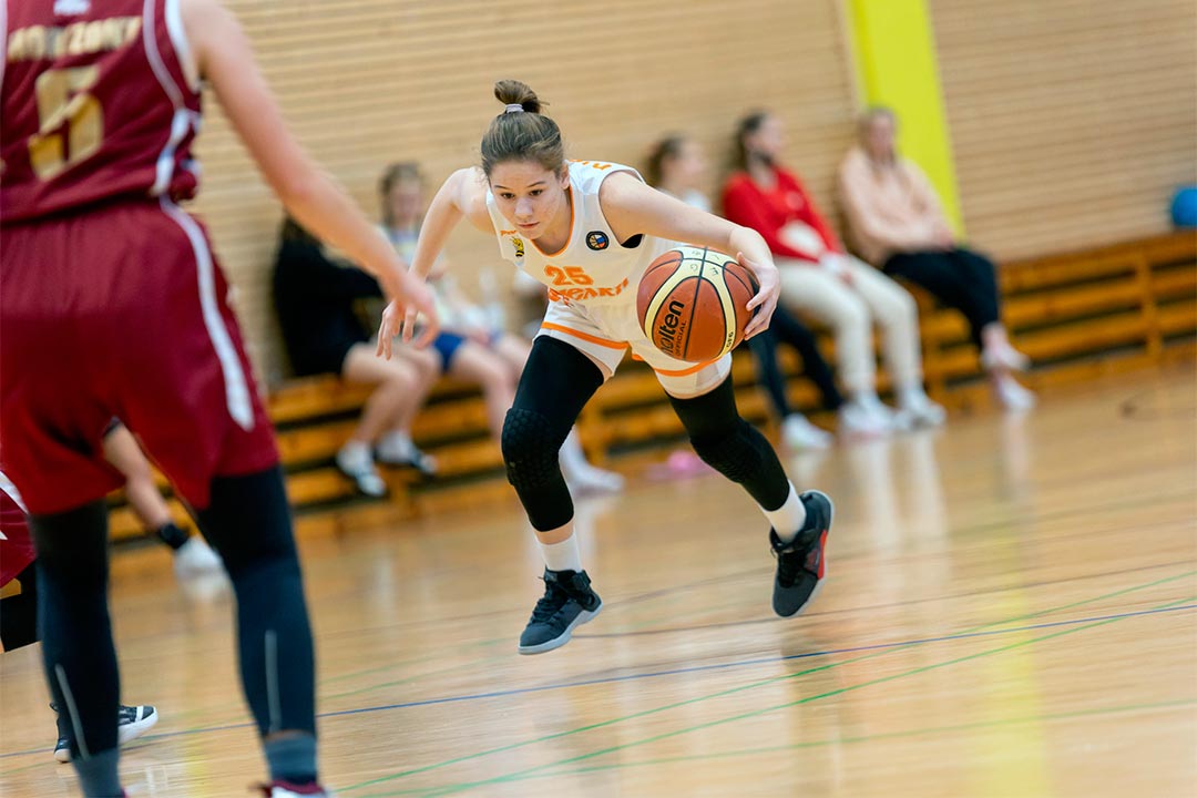 final pchelki 1
