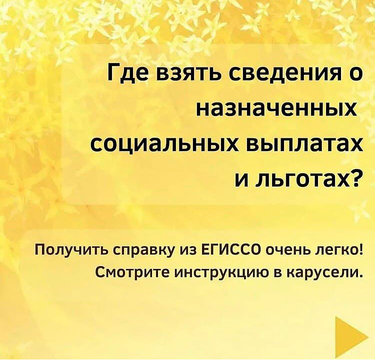 egisso soc viplaty 1