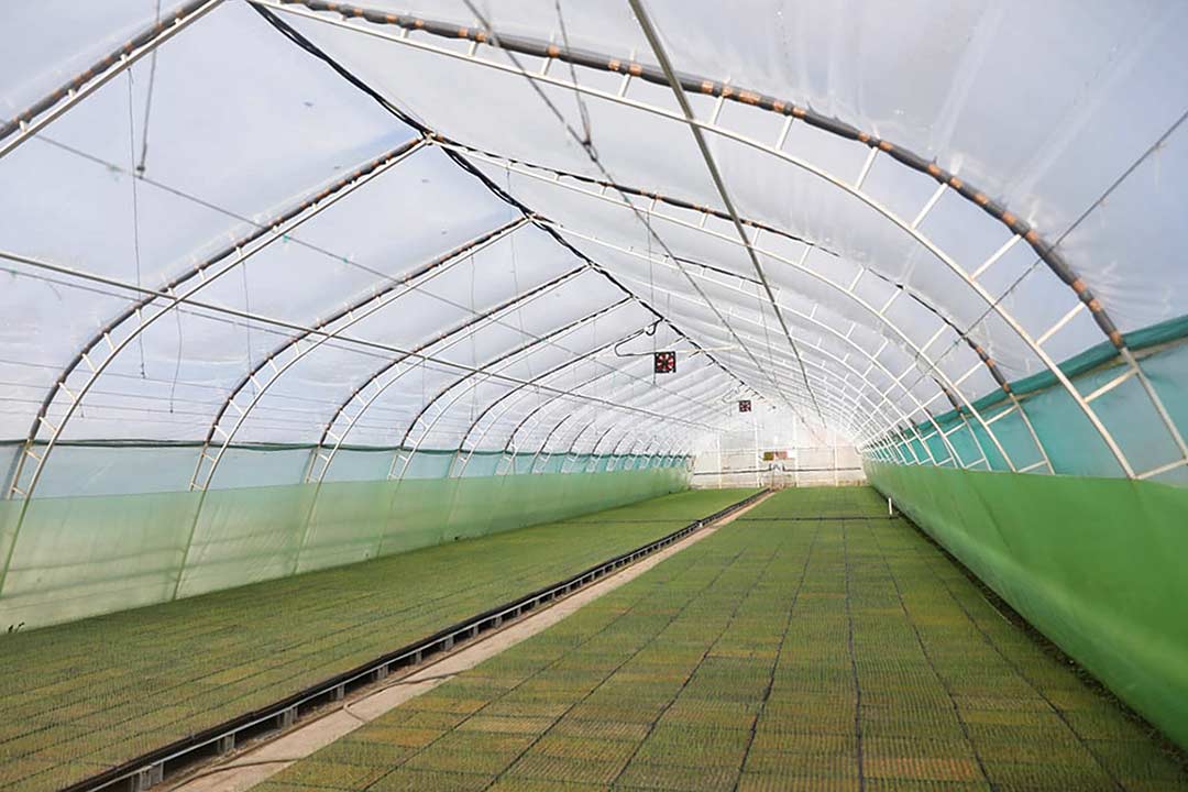 agrosoyuz za rodinu 6