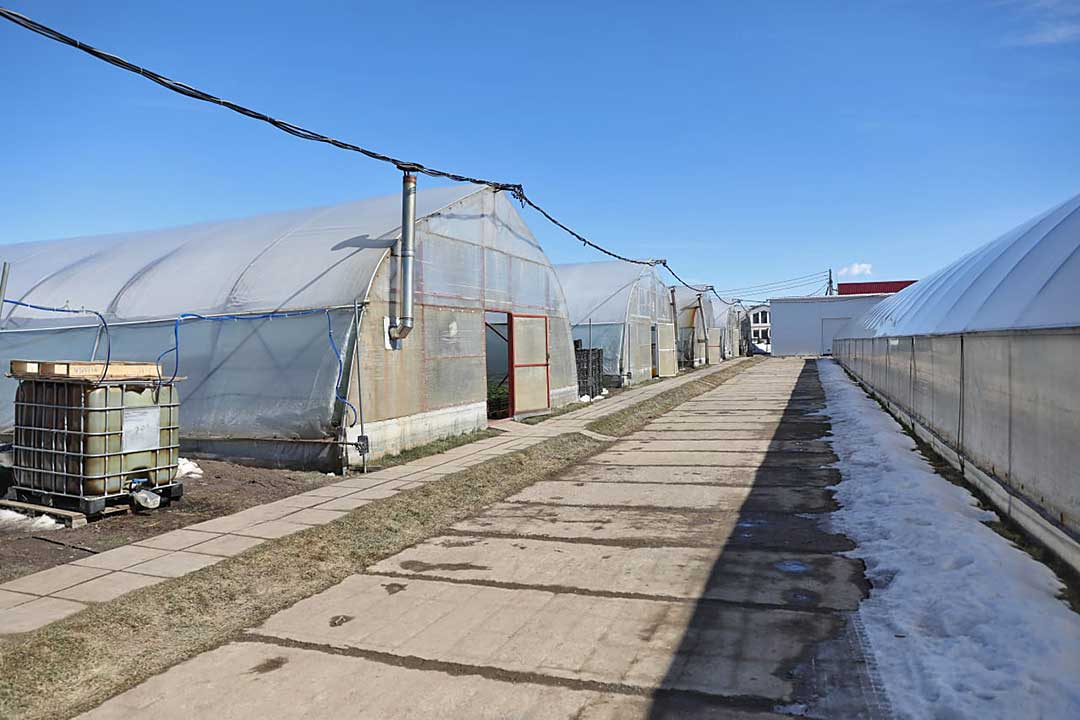 agrosoyuz za rodinu 8