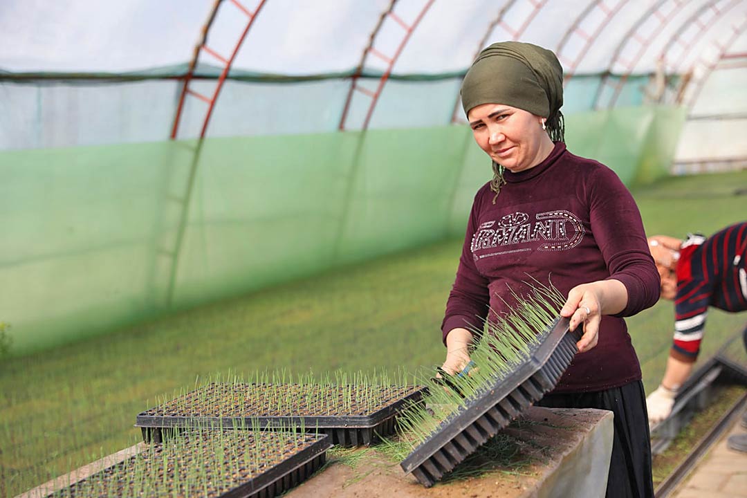 agrosoyuz za rodinu 9