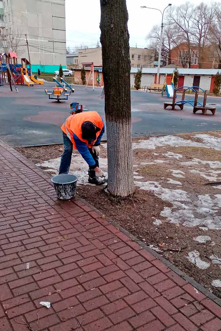 novoharit uborka terr 5
