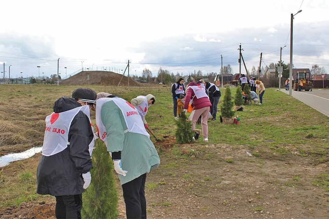 les pobedy 17