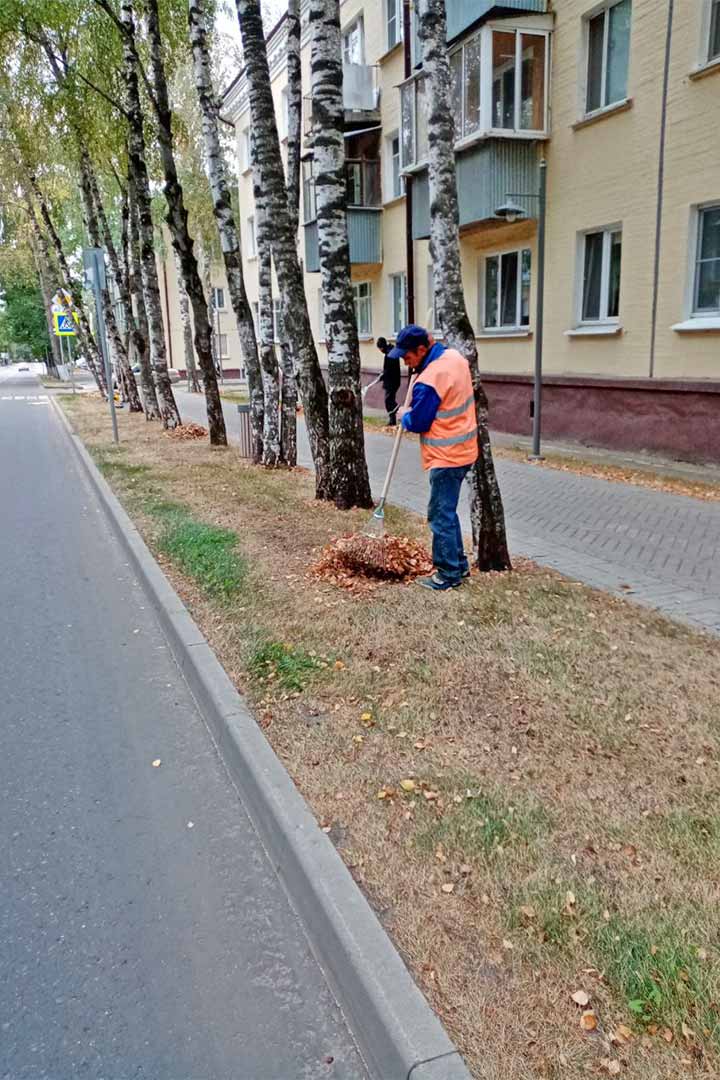 novohariton uborka 2
