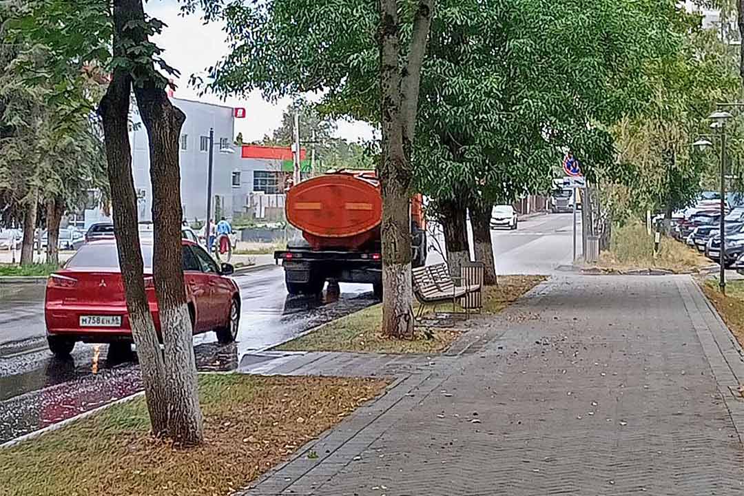 novohariton uborka 4