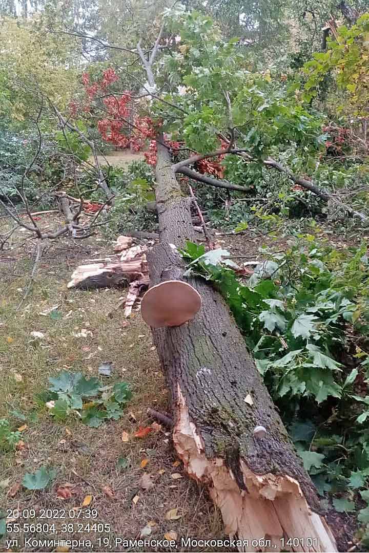 uragan posledstviya 1