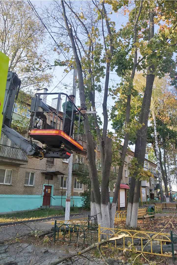 novohariton opilovka 3
