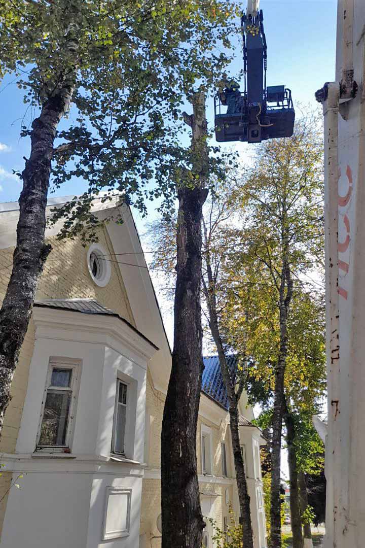 novohariton opilovka 6