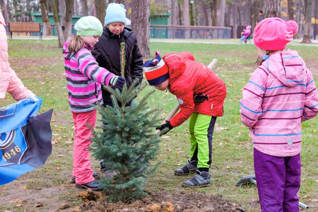 4 november posadka derevev 3