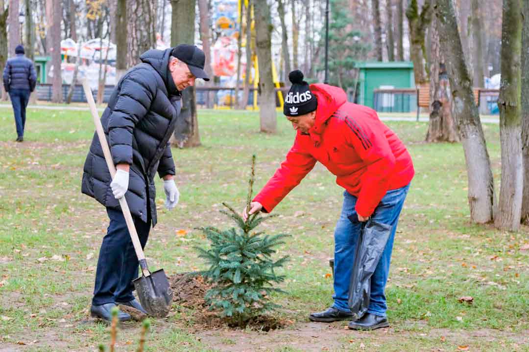 4 november posadka derevev 4