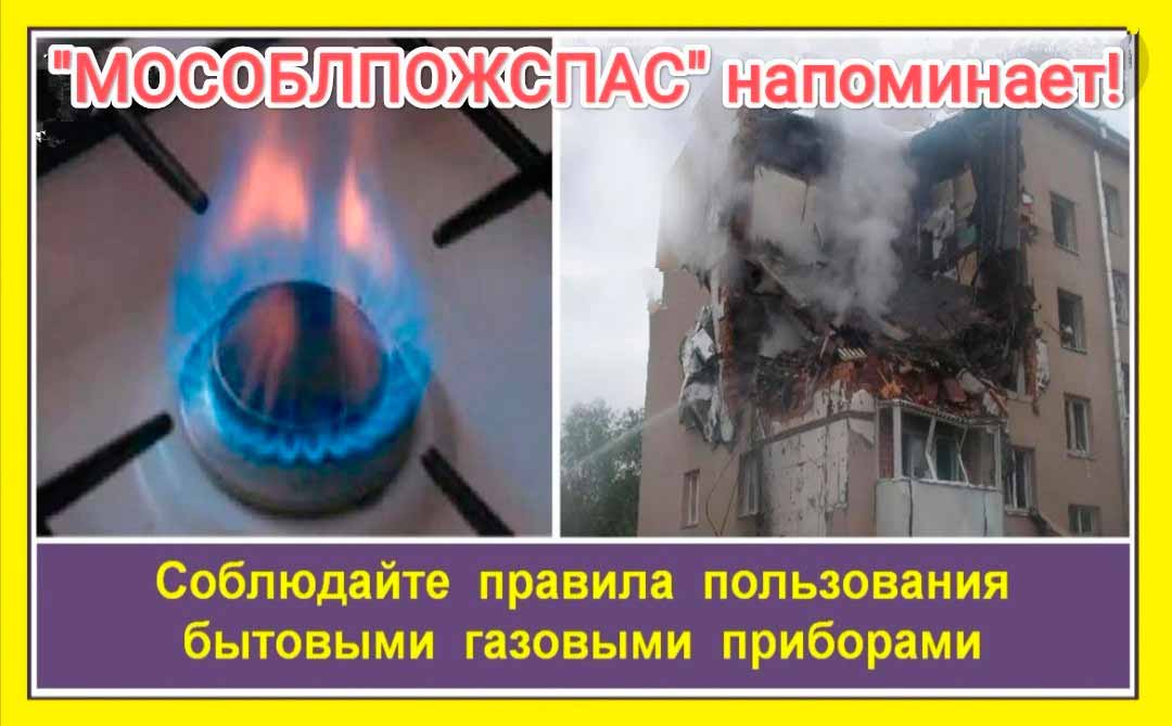 ecology vyrubka zaharovo