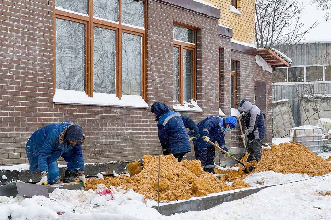 dolshiki berezovaya rosha 11