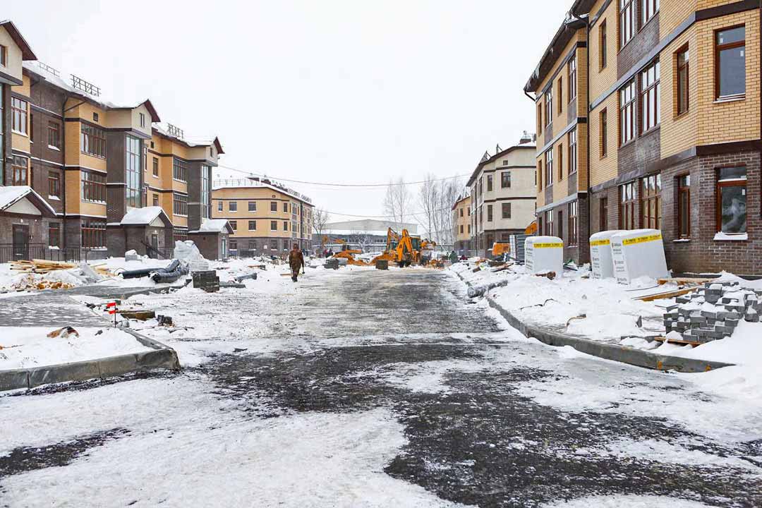 dolshiki berezovaya rosha 8