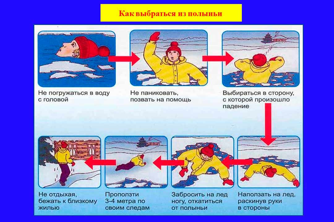 pamyatka kak vybratsya iz polyni