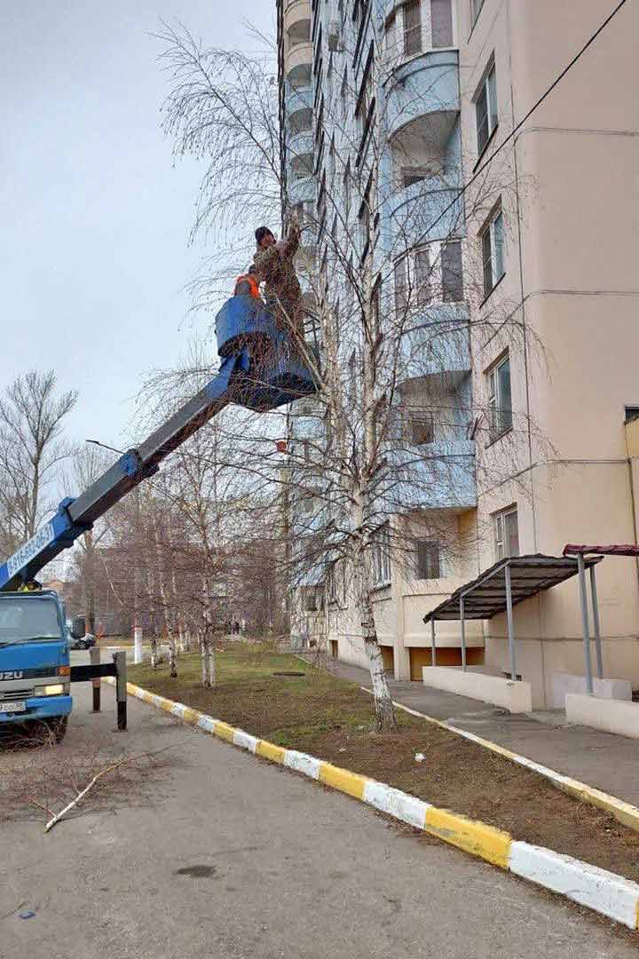 ostrovetskoe mesyachnik 4
