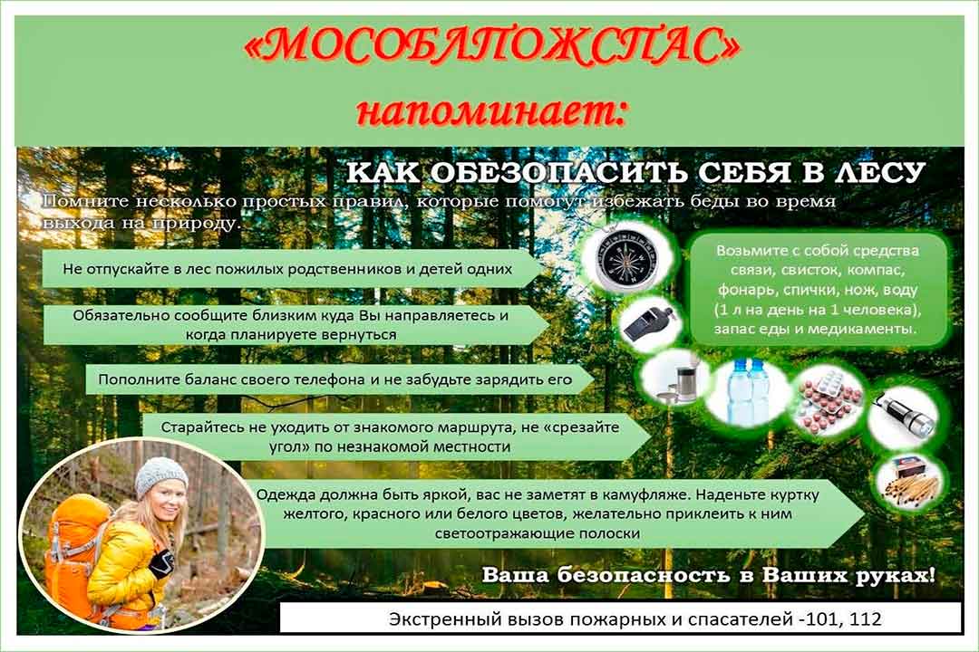 bezopasnost v lesu