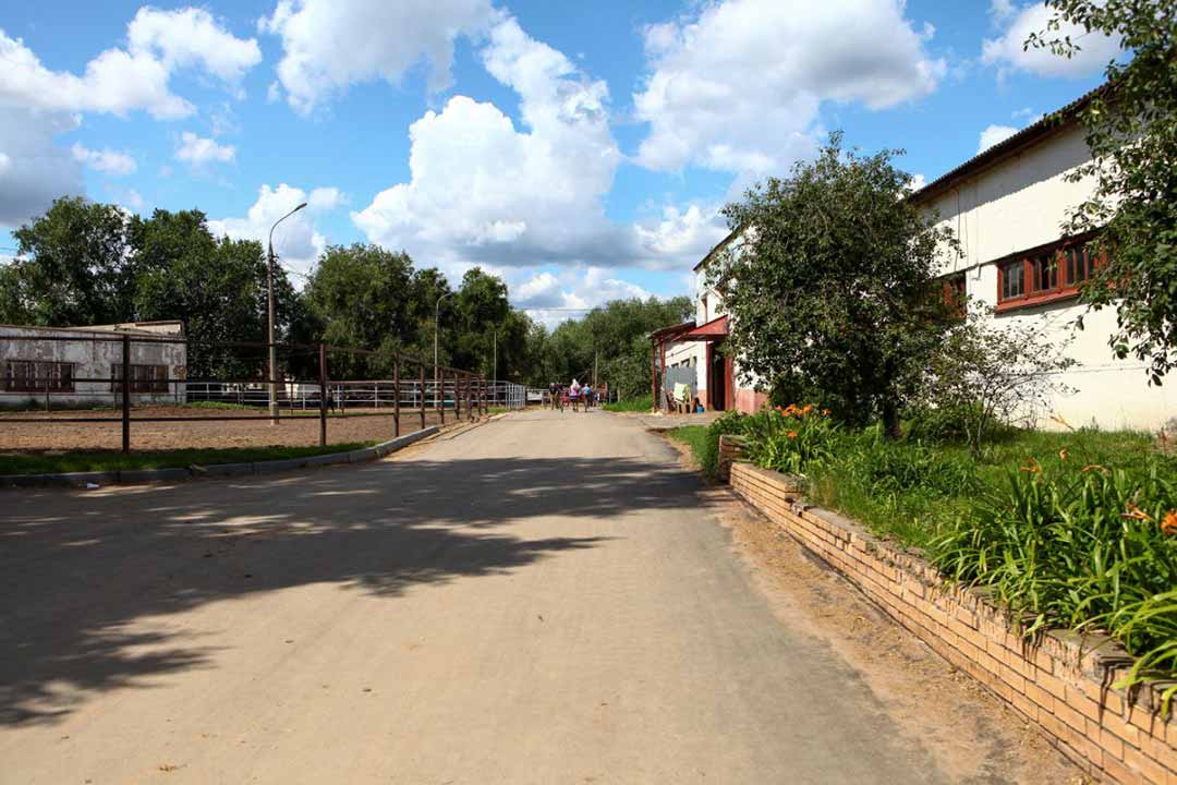 hanin ram ippodrom 6
