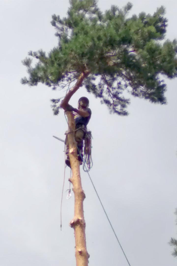 blagostroy opilovka 1