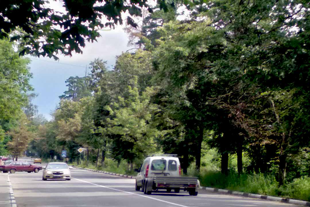 blagostroy opilovka 5