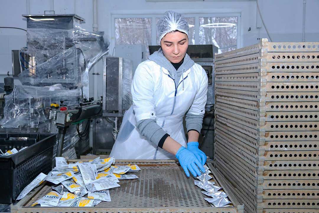 kombinat ruskom hanin 8