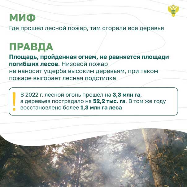 kartochki mif pravda lesnie pozhari 2