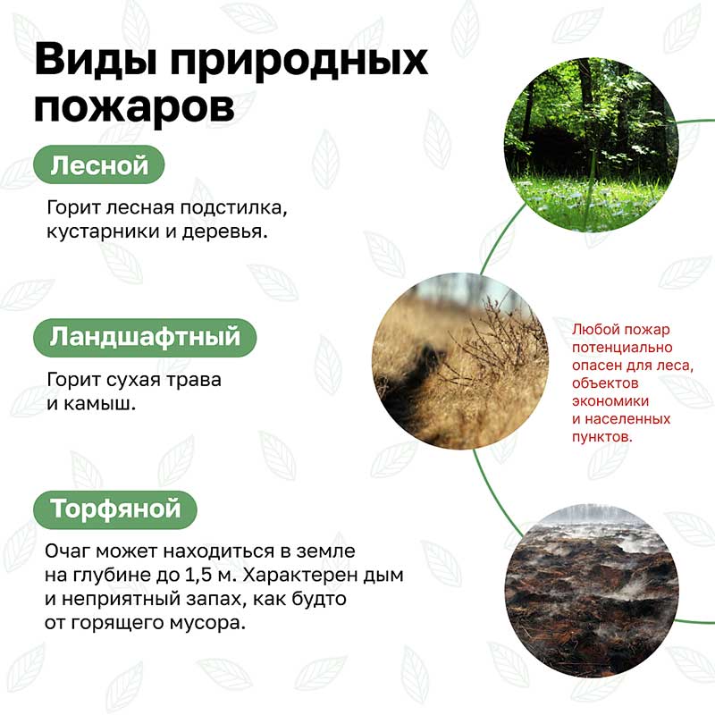 prirodniye pozhari kartochki 2