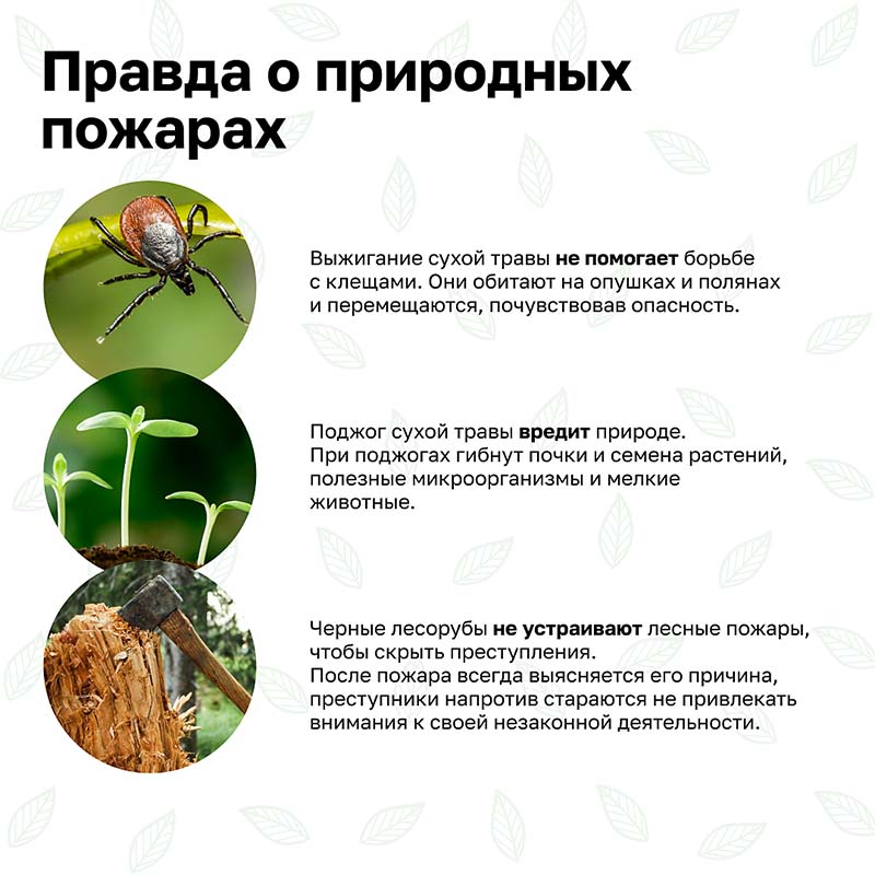 prirodniye pozhari kartochki 5