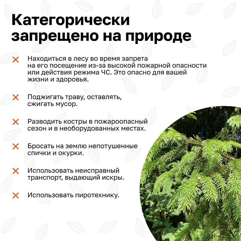 prirodniye pozhari kartochki 6