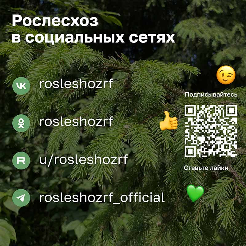 prirodniye pozhari kartochki 8