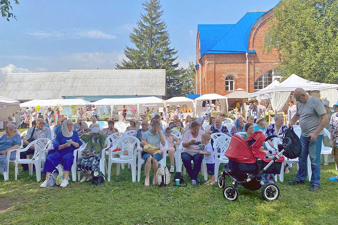 romashkovoe pole 2024 12