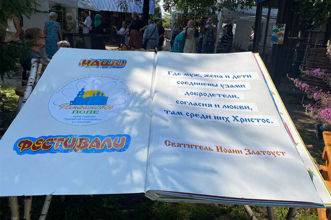 romashkovoe pole 2024 3