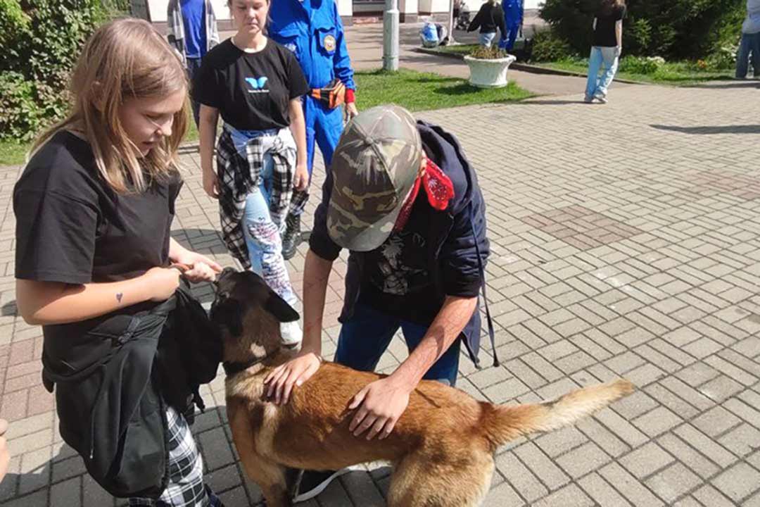 ondipr iskograd 2