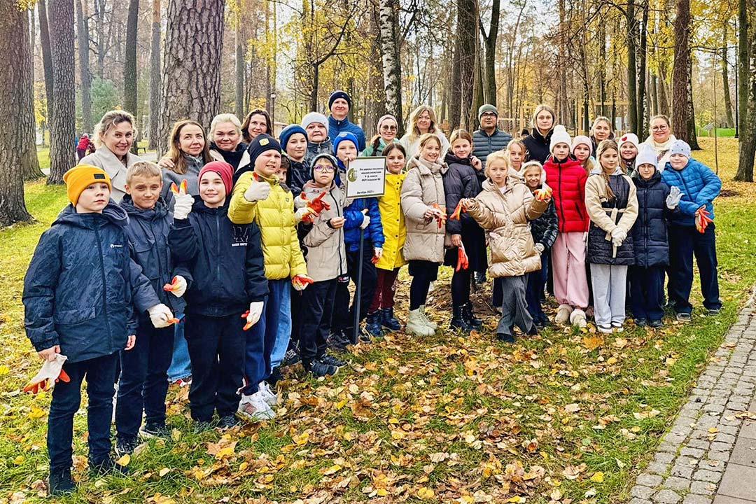 Posadi Klen Ekologiya 3