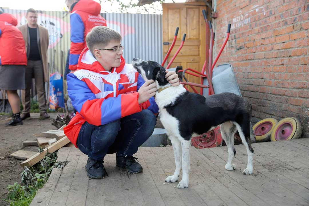 volonteri podmoskovya sborka 10