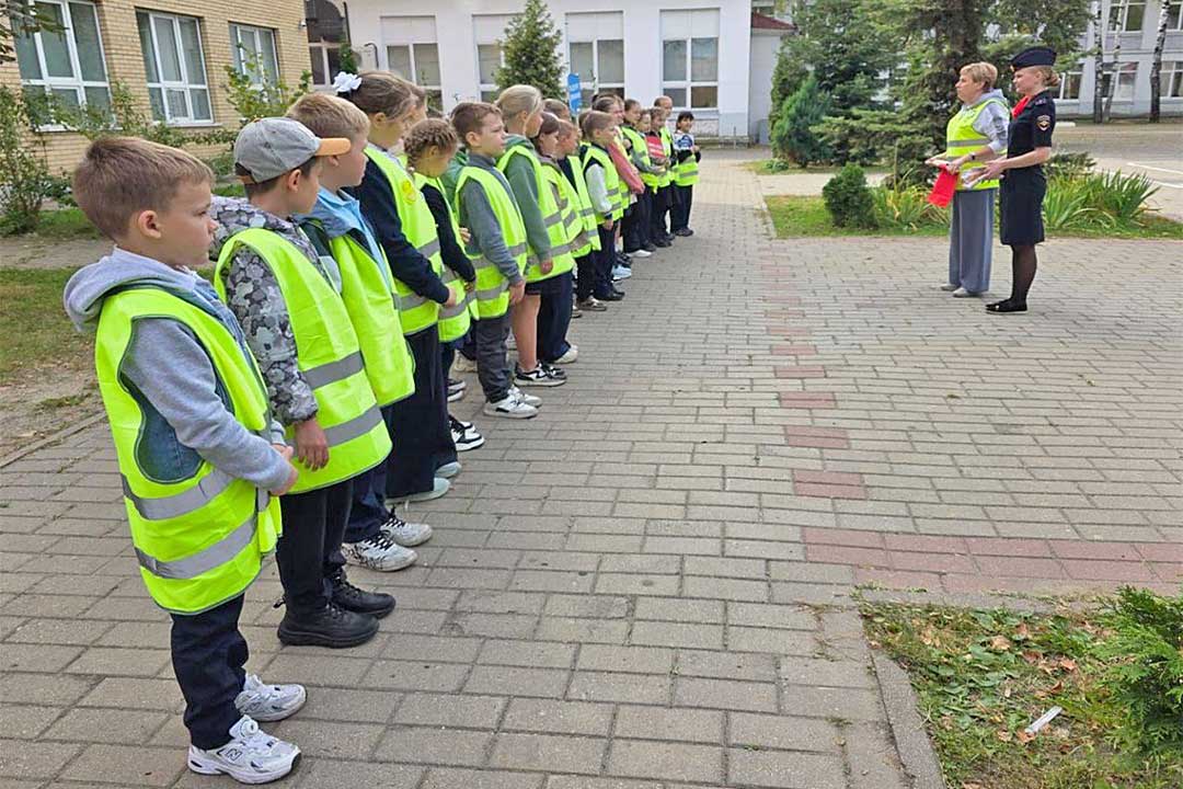 gibdd den bez avto 1