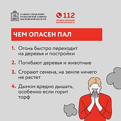 pal travi infografika 3