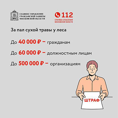 pal travi infografika 4