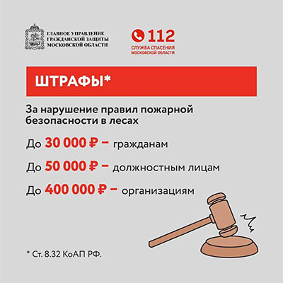 pal travi infografika 5
