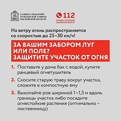 pal travi infografika 8