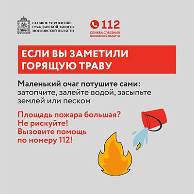 pal travi infografika 9