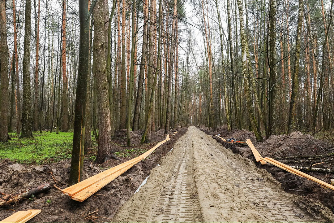 MalishewBlagoustr Lesoparka I usadbi 2