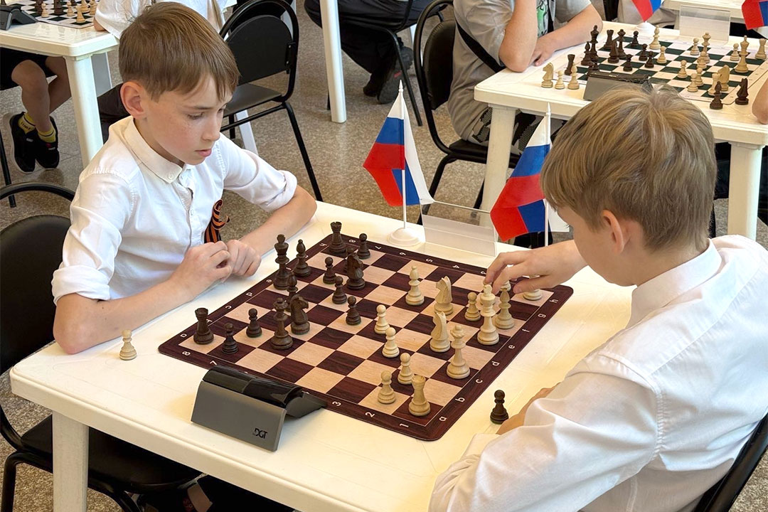 Ermakov Shahmati 8