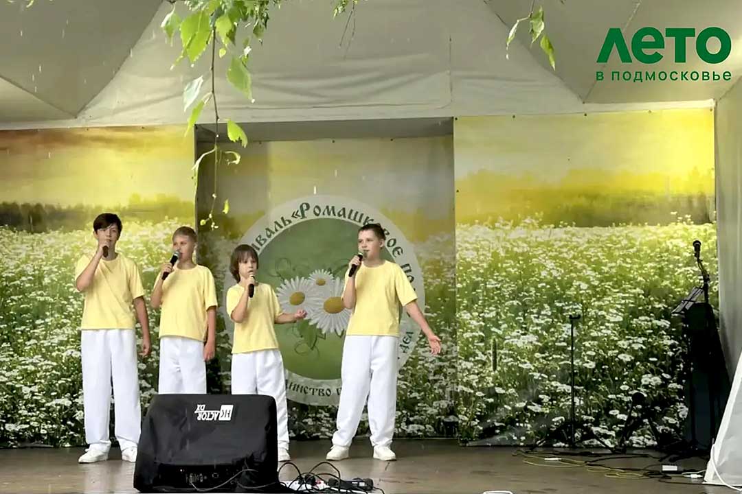 romashkovoe pole 2026 1